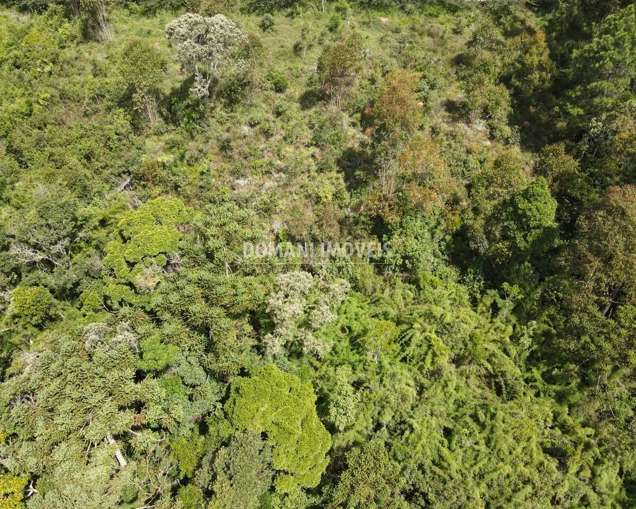 Terreno à venda de 6.880 m² em Campos do Jordão, SP, Brasil
