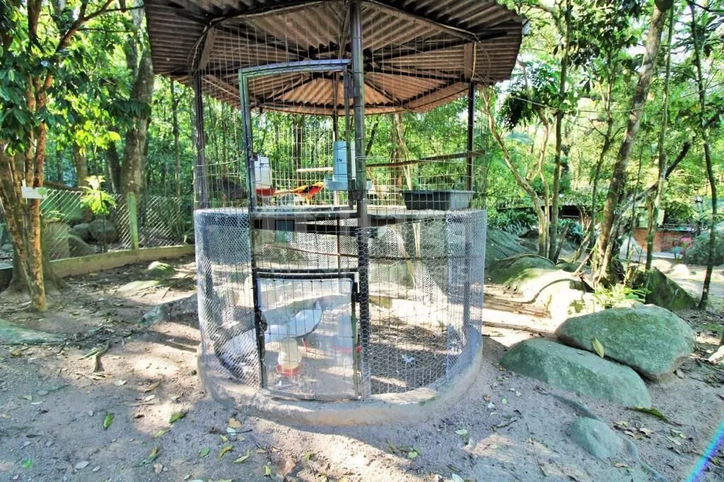 Fazenda à venda de 8.000 m² em Canelinha, SC, Brasil
