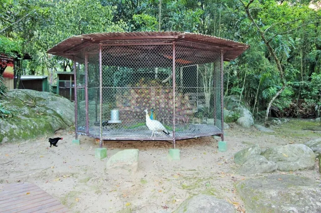 Fazenda à venda de 8.000 m² em Canelinha, SC, Brasil