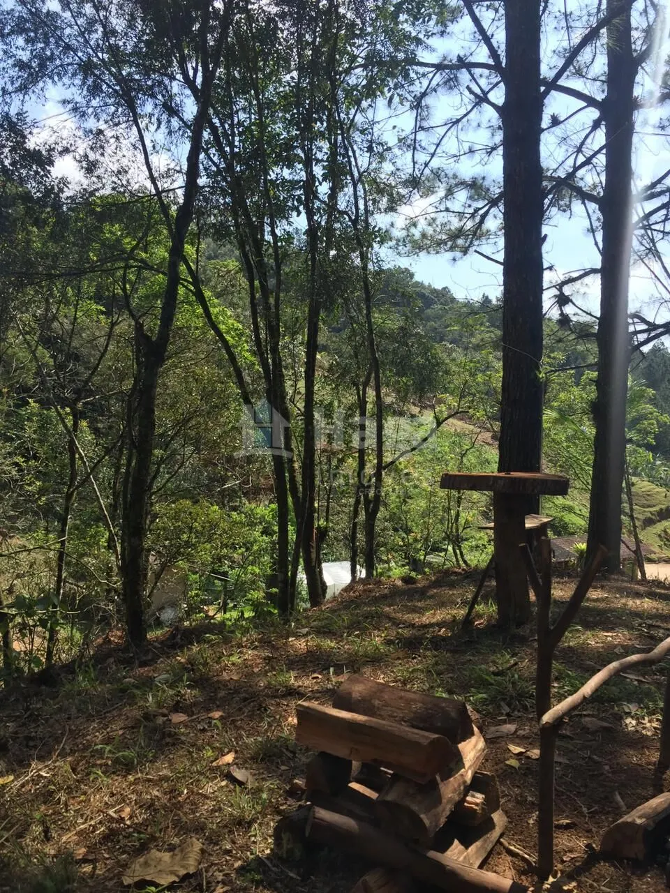 Farm for sale of 52 acres in Guabiruba, SC, Brazil