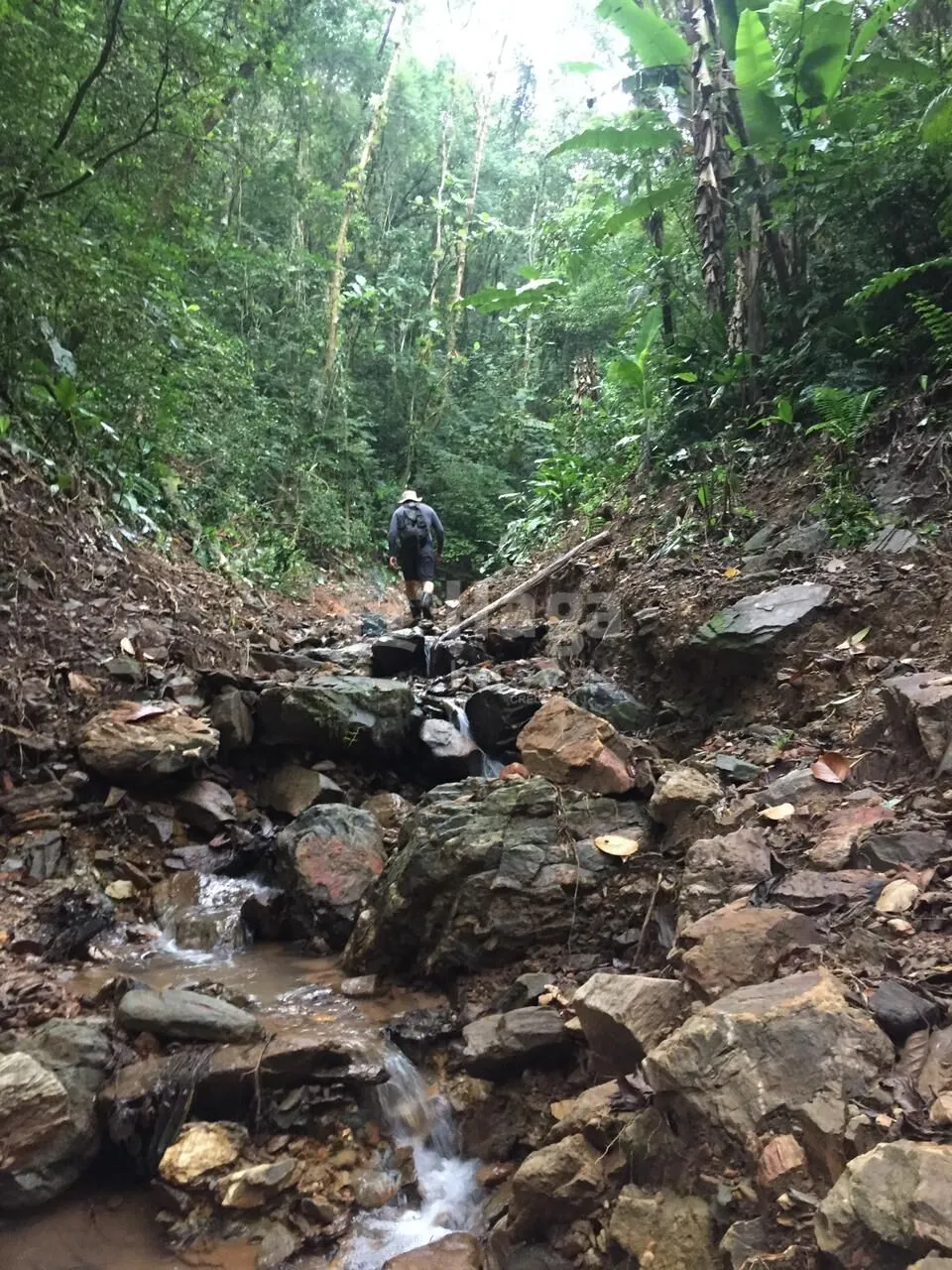 Farm for sale of 52 acres in Guabiruba, SC, Brazil
