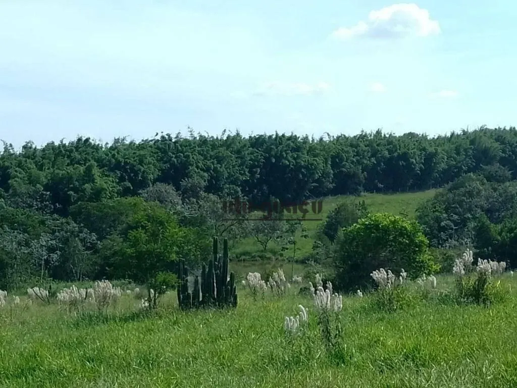 Fazenda à venda de 200 ha em Indaiatuba, SP, Brasil