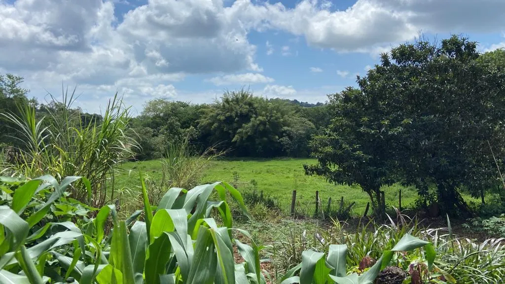 Chácara à venda de 1 ha em São Gonçalo do Sapucaí, MG, Brasil