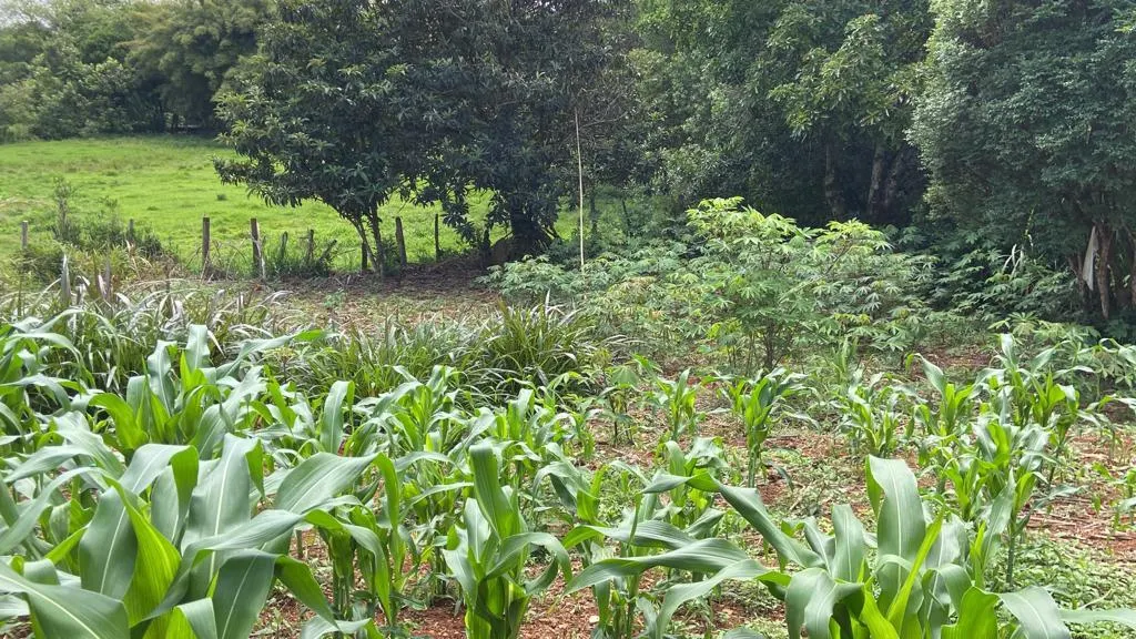 Chácara à venda de 1 ha em São Gonçalo do Sapucaí, MG, Brasil
