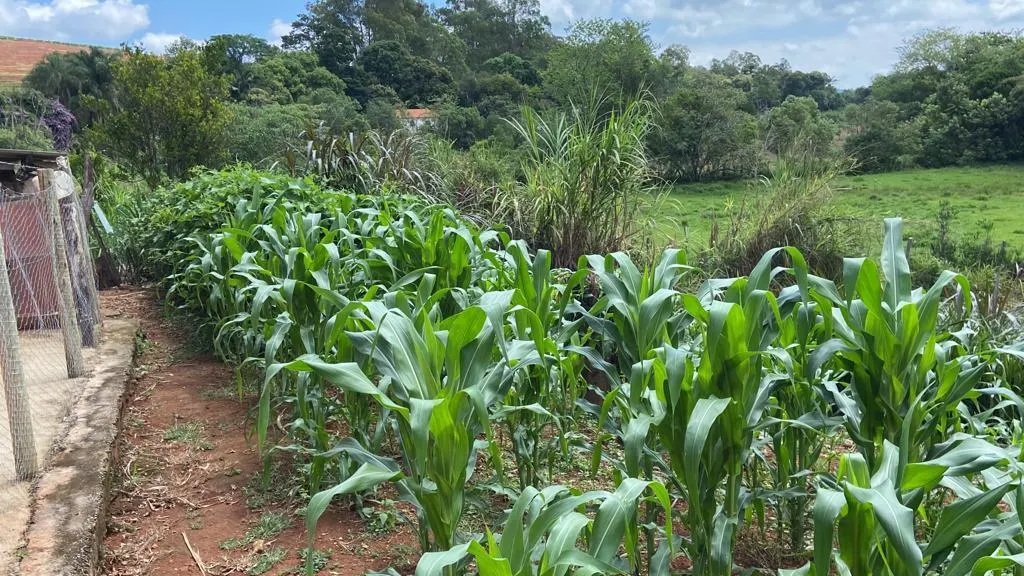 Chácara à venda de 1 ha em São Gonçalo do Sapucaí, MG, Brasil