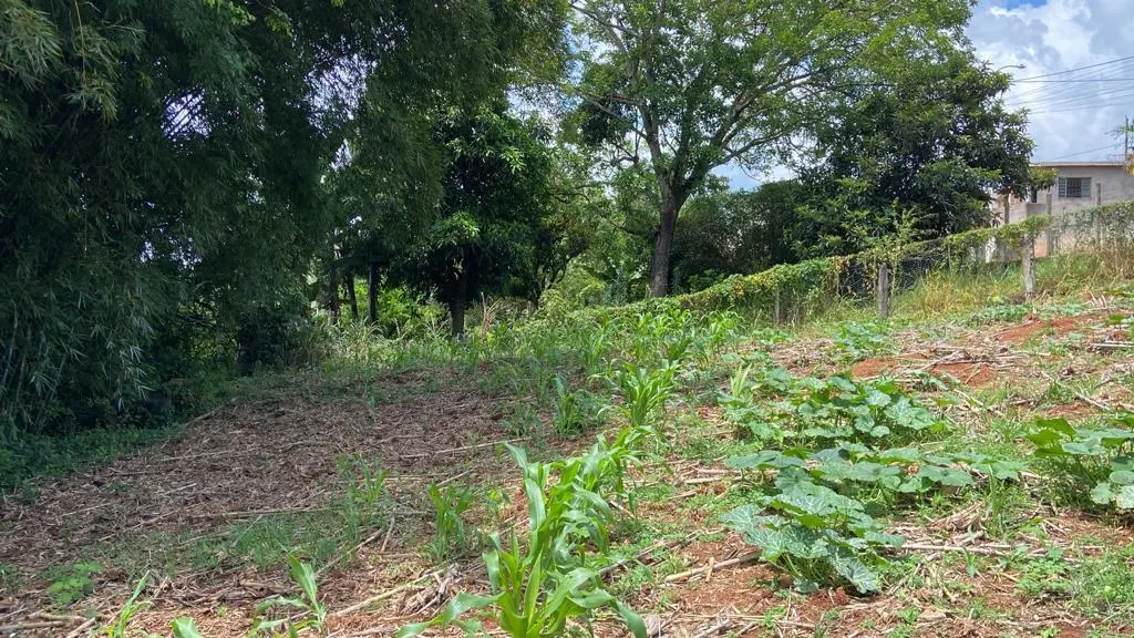 Chácara à venda de 1 ha em São Gonçalo do Sapucaí, MG, Brasil