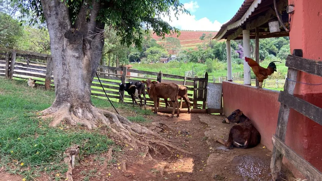 Chácara à venda de 1 ha em São Gonçalo do Sapucaí, MG, Brasil