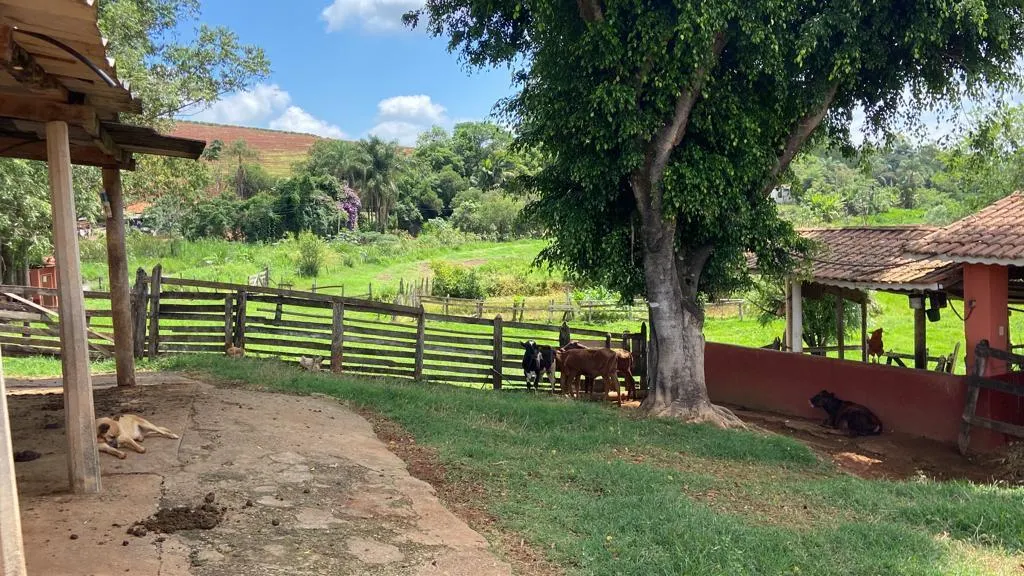 Chácara à venda de 1 ha em São Gonçalo do Sapucaí, MG, Brasil