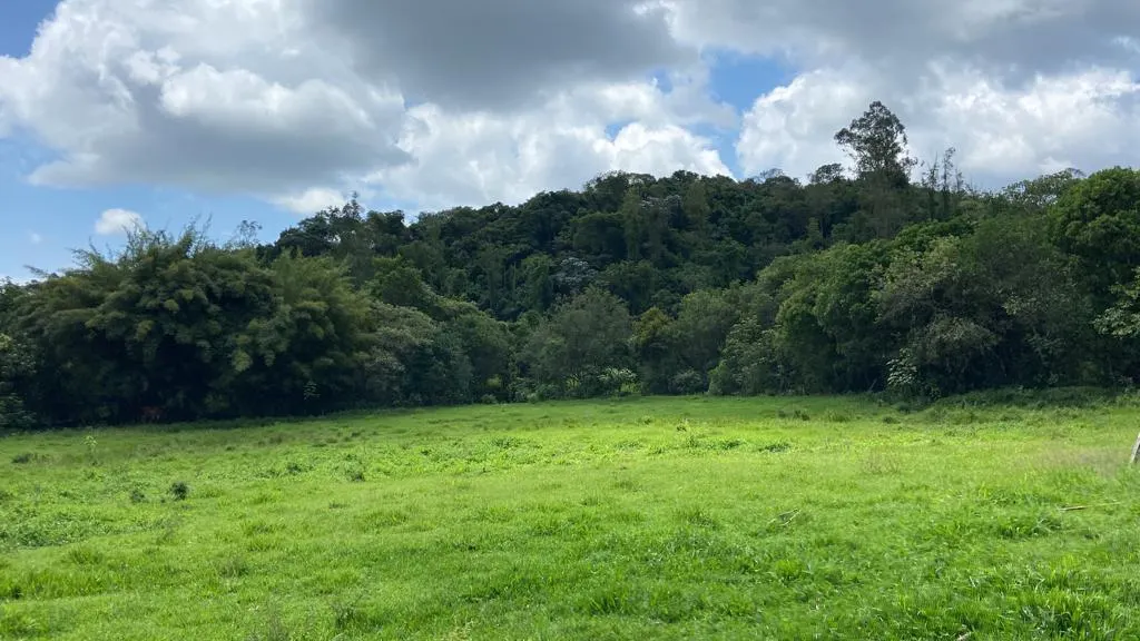Chácara à venda de 1 ha em São Gonçalo do Sapucaí, MG, Brasil