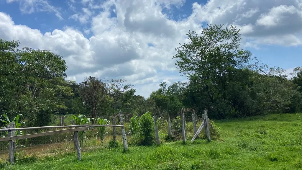 Chácara à venda de 1 ha em São Gonçalo do Sapucaí, MG, Brasil