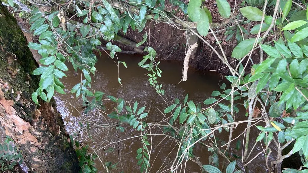 Chácara à venda de 1 ha em São Gonçalo do Sapucaí, MG, Brasil