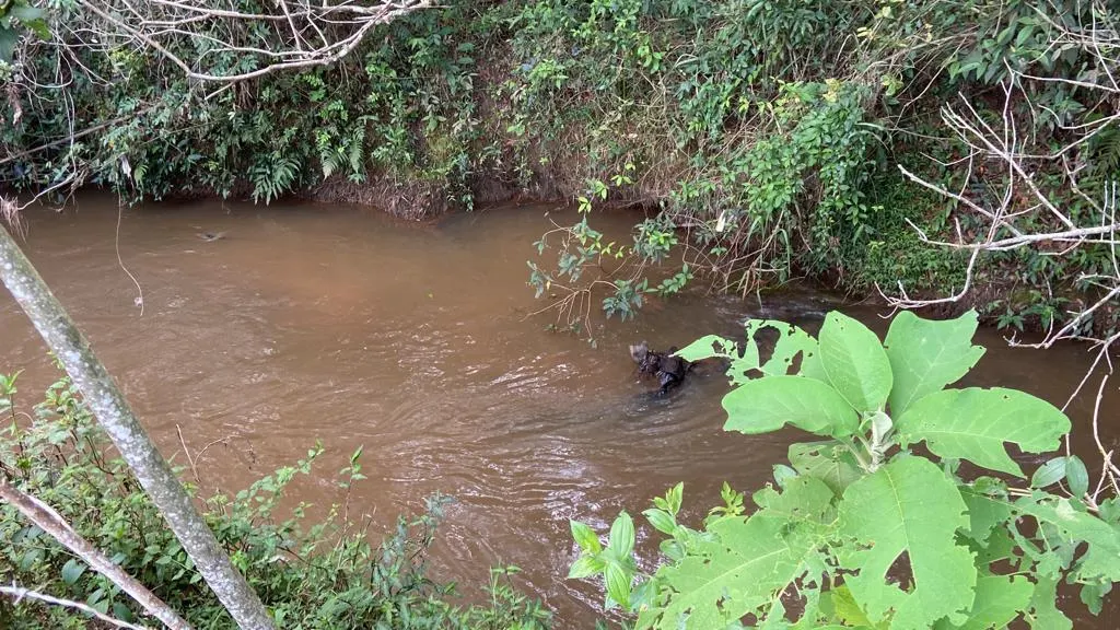 Chácara à venda de 1 ha em São Gonçalo do Sapucaí, MG, Brasil