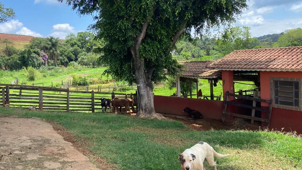 Chácara à venda de 1 ha em São Gonçalo do Sapucaí, MG, Brasil