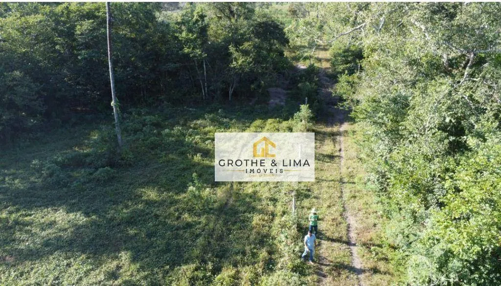 Fazenda à venda de 3.500 ha em Carolina, MA, Brasil