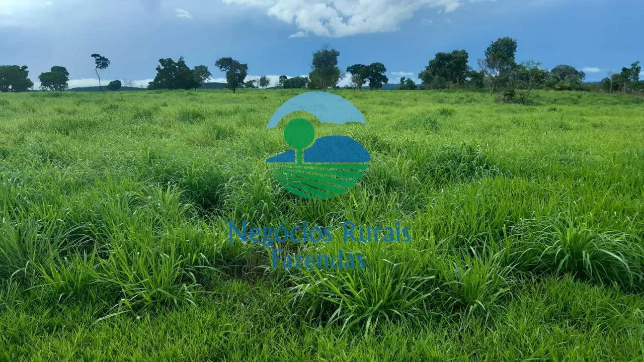 Fazenda à venda de 363 ha em Crixás, GO, Brasil