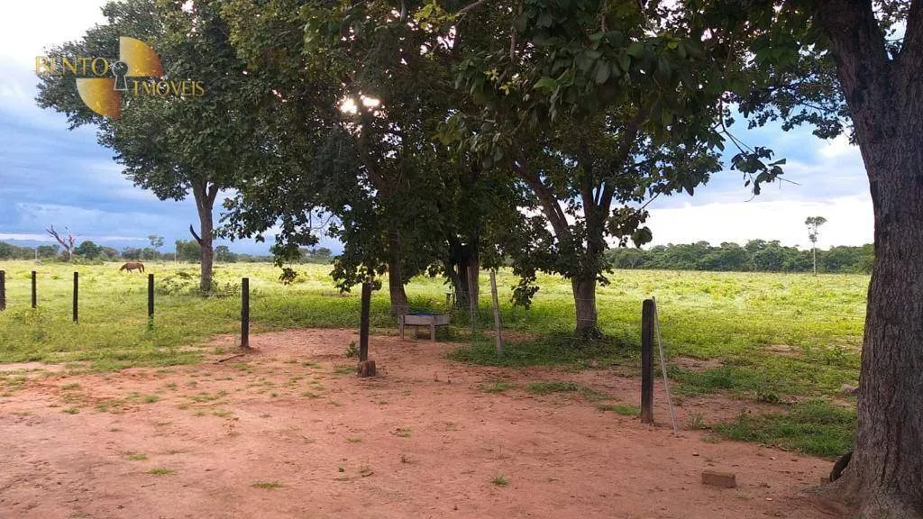 Fazenda à venda de 4.000 ha em Ribeirão Cascalheira, MT, Brasil