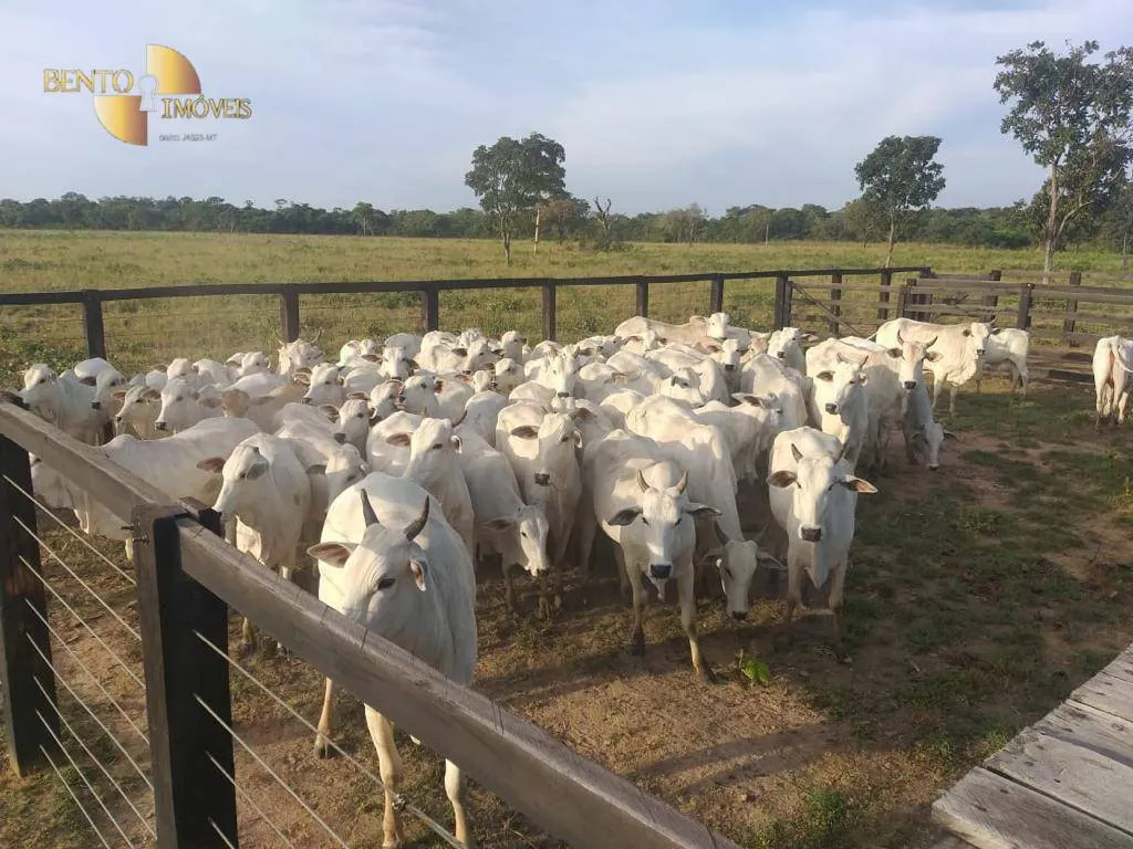 Fazenda à venda de 4.000 ha em Ribeirão Cascalheira, MT, Brasil