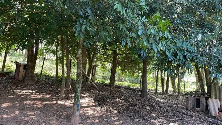 Chácara à venda e para Arrendar de 1 ha em Nova Hartz, RS, Brasil