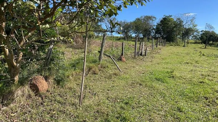 Chácara à venda e para Arrendar de 1 ha em Nova Hartz, RS, Brasil