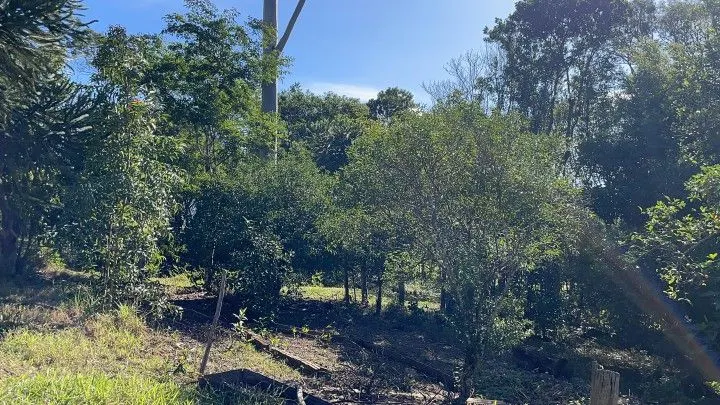 Chácara à venda e para Arrendar de 1 ha em Nova Hartz, RS, Brasil