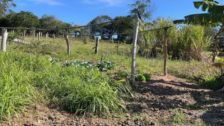 Chácara à venda e para Arrendar de 1 ha em Nova Hartz, RS, Brasil