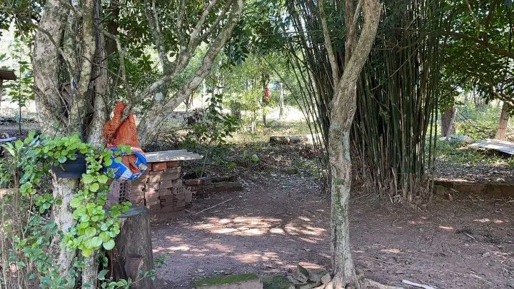 Chácara à venda e para Arrendar de 1 ha em Nova Hartz, RS, Brasil