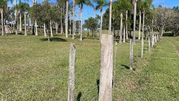 Chácara à venda e para Arrendar de 1 ha em Nova Hartz, RS, Brasil
