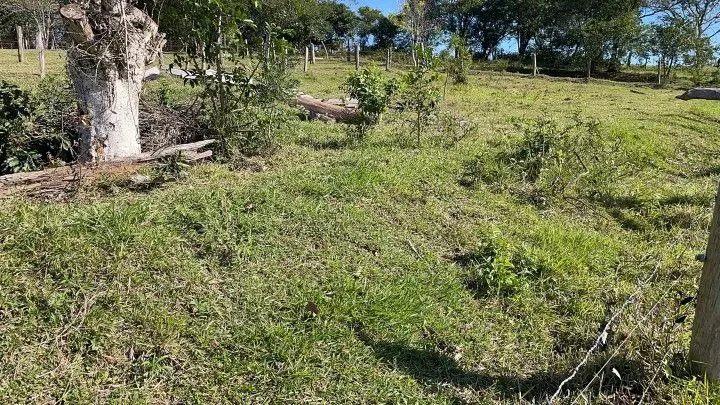 Chácara à venda e para Arrendar de 1 ha em Nova Hartz, RS, Brasil