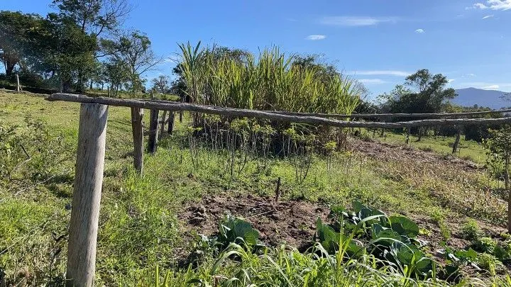 Chácara à venda e para Arrendar de 1 ha em Nova Hartz, RS, Brasil