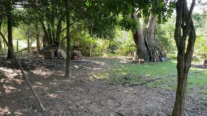 Chácara à venda e para Arrendar de 1 ha em Nova Hartz, RS, Brasil