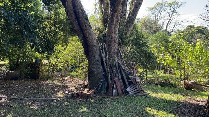 Chácara à venda e para Arrendar de 1 ha em Nova Hartz, RS, Brasil