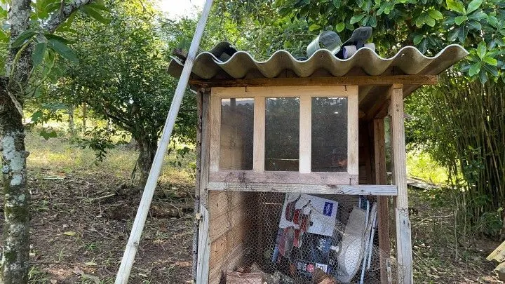 Chácara à venda e para Arrendar de 1 ha em Nova Hartz, RS, Brasil