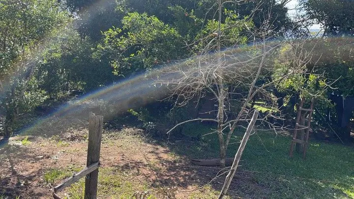Chácara à venda e para Arrendar de 1 ha em Nova Hartz, RS, Brasil