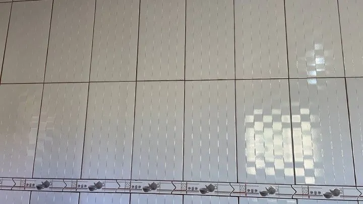 Chácara à venda e para Arrendar de 1 ha em Nova Hartz, RS, Brasil