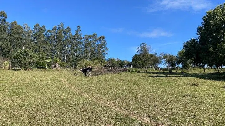 Chácara à venda e para Arrendar de 1 ha em Nova Hartz, RS, Brasil