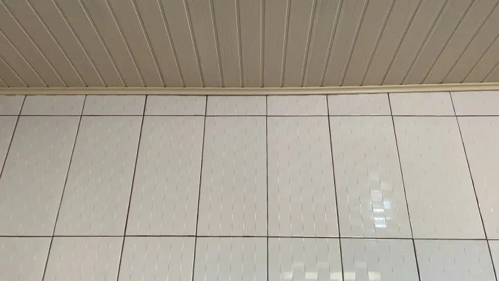 Chácara à venda e para Arrendar de 1 ha em Nova Hartz, RS, Brasil