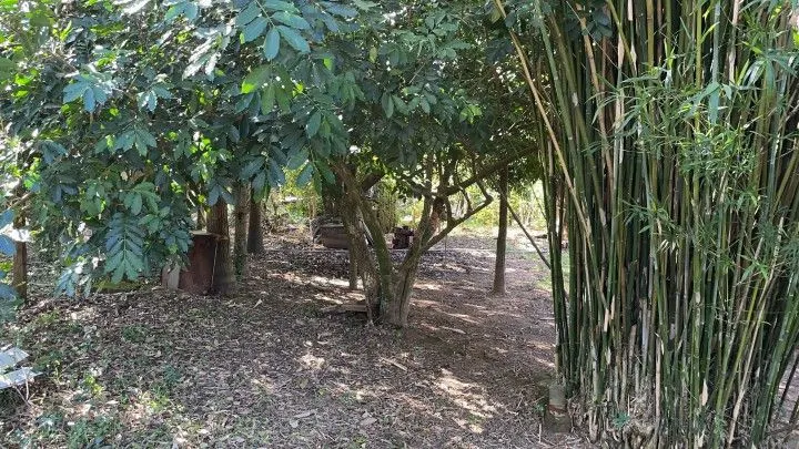 Chácara à venda e para Arrendar de 1 ha em Nova Hartz, RS, Brasil