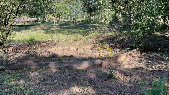 Chácara à venda e para Arrendar de 1 ha em Nova Hartz, RS, Brasil