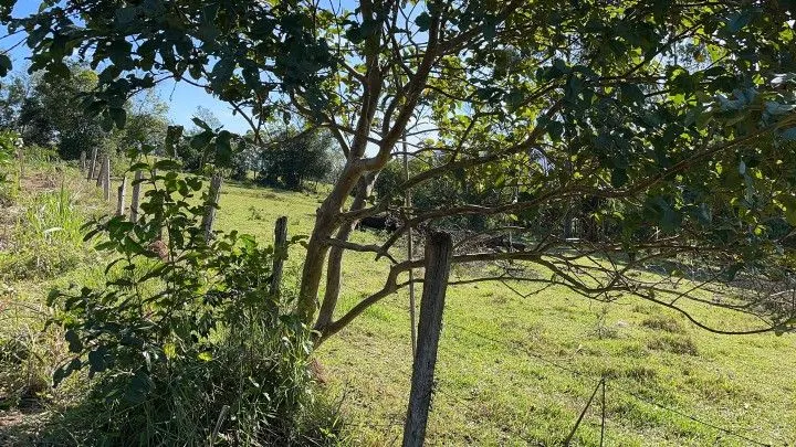 Chácara à venda e para Arrendar de 1 ha em Nova Hartz, RS, Brasil