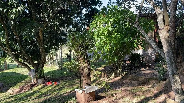 Chácara à venda e para Arrendar de 1 ha em Nova Hartz, RS, Brasil
