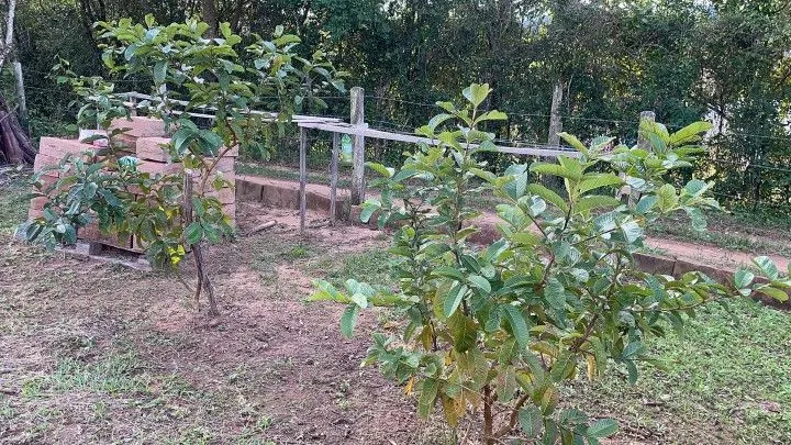 Country home for sale of 1,900 m² in Caraá, RS, Brazil