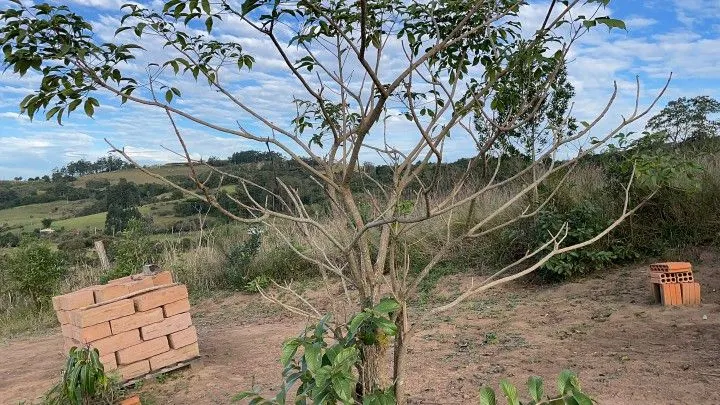 Country home for sale of 1,900 m² in Caraá, RS, Brazil