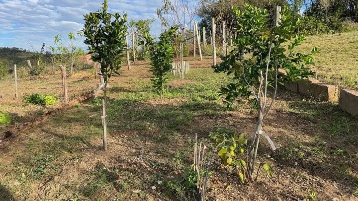 Country home for sale of 1,900 m² in Caraá, RS, Brazil