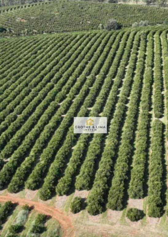 Fazenda à venda de 411 ha em Angatuba, SP, Brasil