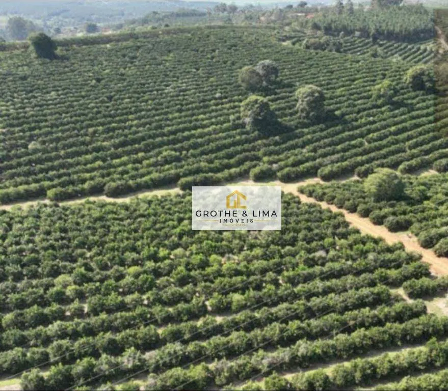 Fazenda à venda de 411 ha em Angatuba, SP, Brasil