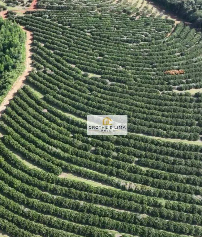 Fazenda à venda de 411 ha em Angatuba, SP, Brasil