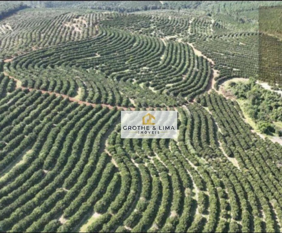 Fazenda à venda de 411 ha em Angatuba, SP, Brasil