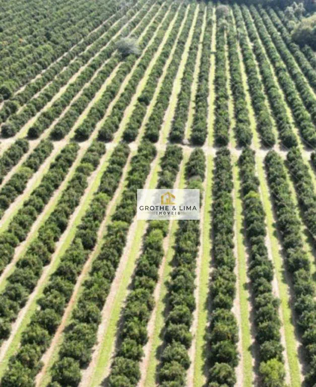 Fazenda à venda de 411 ha em Angatuba, SP, Brasil