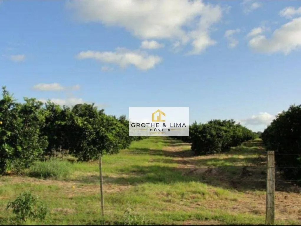 Fazenda à venda de 411 ha em Angatuba, SP, Brasil