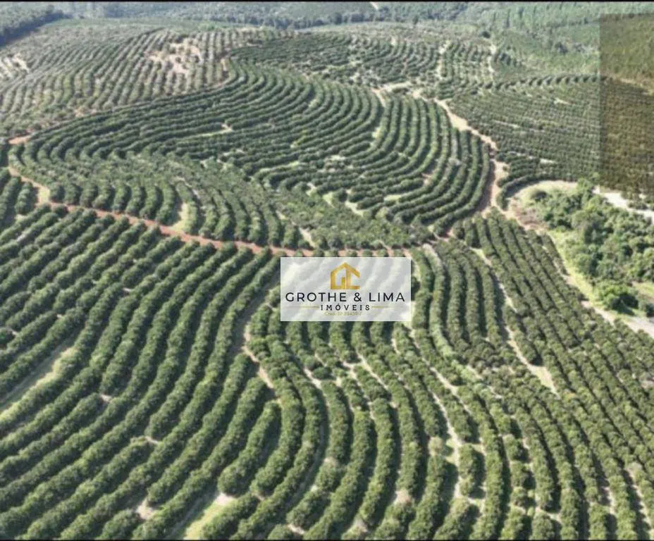 Fazenda à venda de 411 ha em Angatuba, SP, Brasil